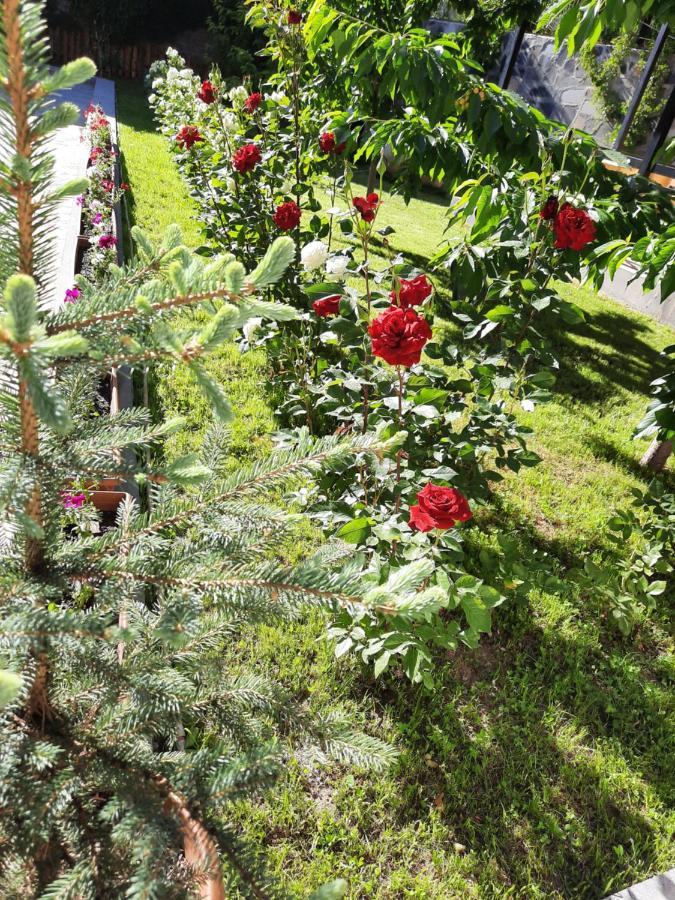 Cherry Garden Boutique Hotel Yeghegnadzor Exteriör bild