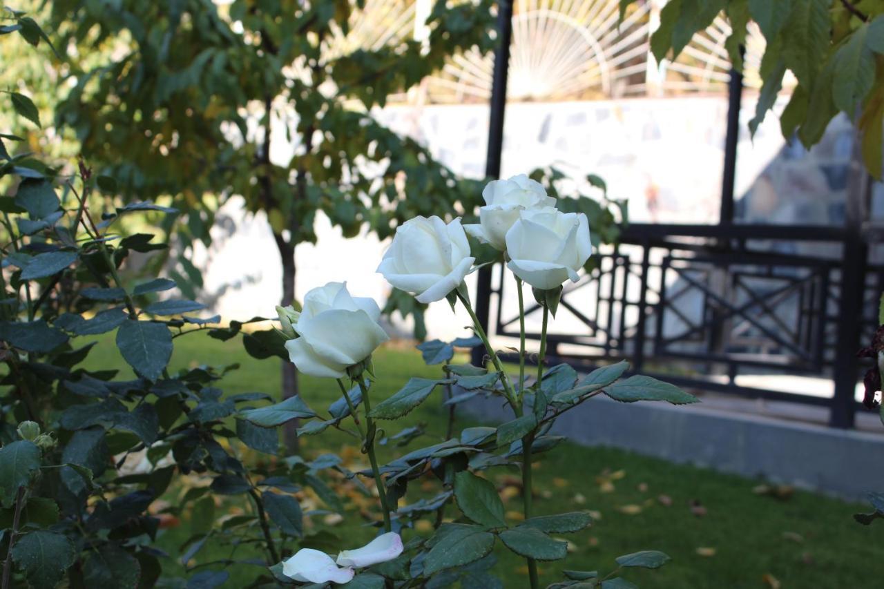 Cherry Garden Boutique Hotel Yeghegnadzor Exteriör bild